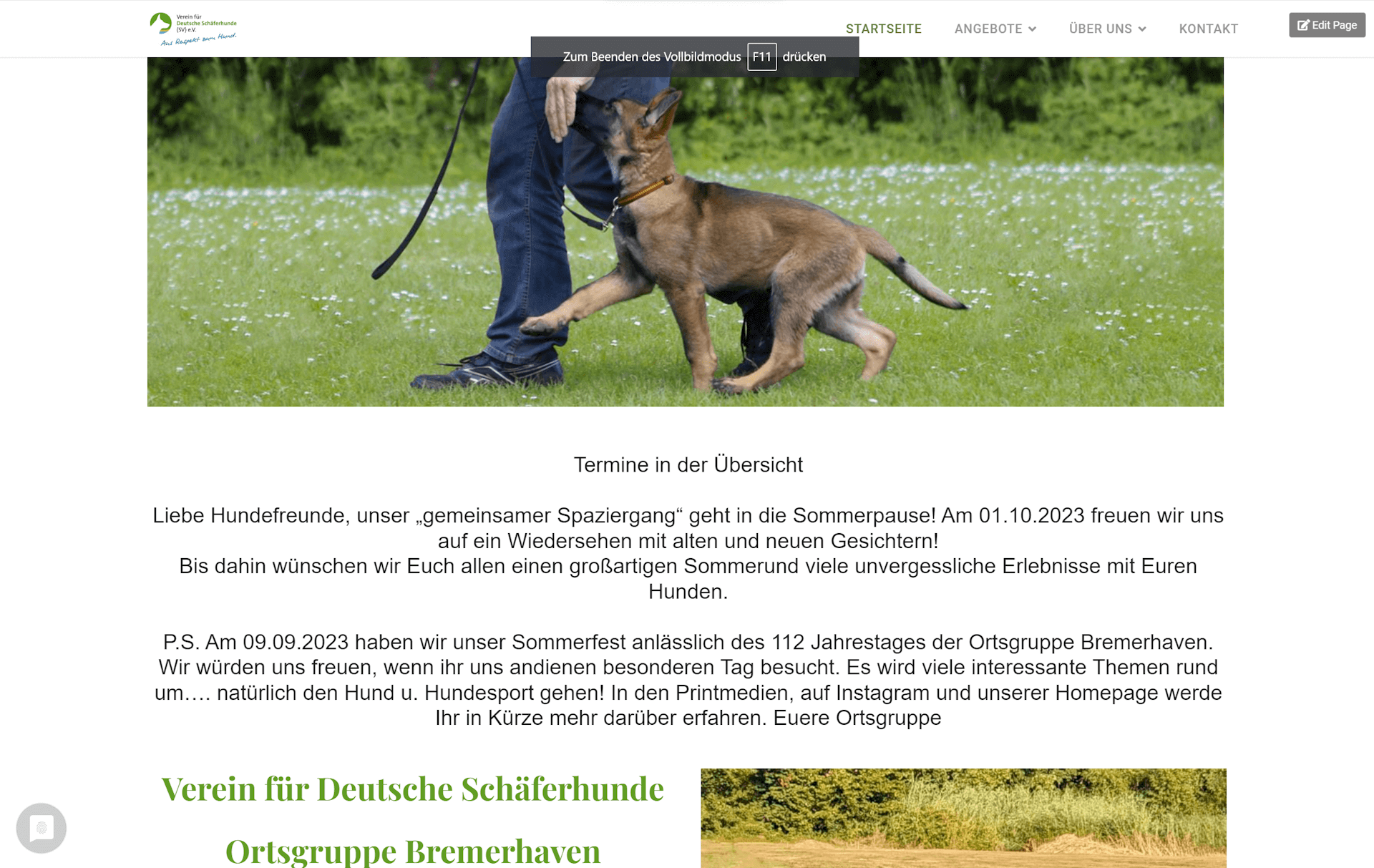 Webseite Verein Deutscher Schäferhunde Bremerhaven